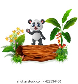 Cute baby panda posing on tree trunk