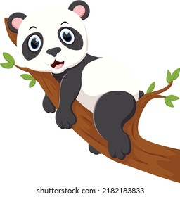 Cute baby panda relax on tree 