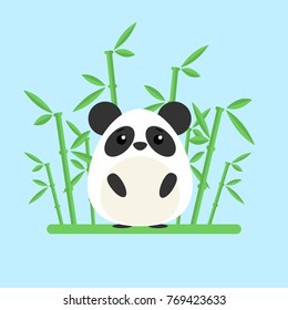 Cute baby panda standing between the bamboo on blue background