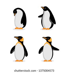 Cute Baby Penguin cartoon in different poses. Vector illustration.