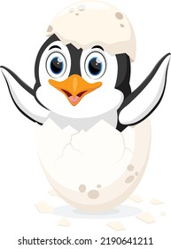 cute baby penguin cartoon isolated on white background
