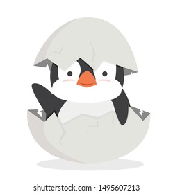 cute baby penguin fat hatched in egg vector