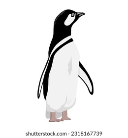 Cute Baby Penguin. Flat vector illustration isolated on white. Polar animal