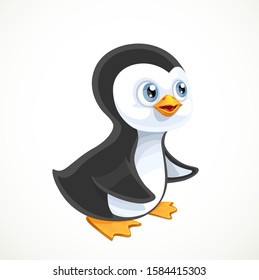 Cute baby penguin isolated on white background