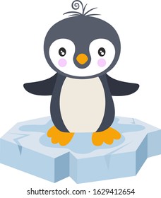 Cute baby penguin on a ice floe