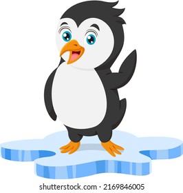 Cute baby penguin on ice floe