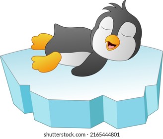 Cute baby penguin sleep on ice floe