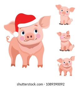 Cute baby pig cartoon, vector illustration isolated on white background