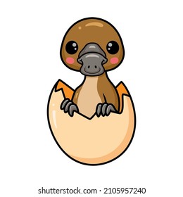 Cute baby platypus cartoon inside an egg