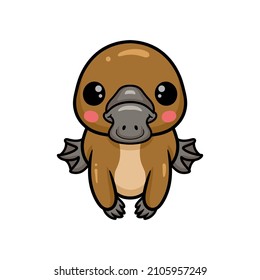 Cute baby platypus cartoon posing