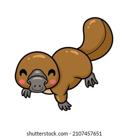 Cute baby platypus cartoon posing