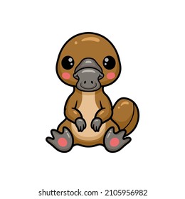 Cute baby platypus cartoon sitting