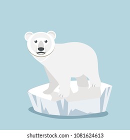 Cute baby Polar bear  on ice floe