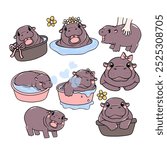 cute baby pygmy hippo bouncy pig cartoon character collection