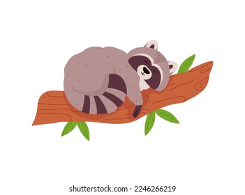 Cute baby raccoon sleeping on tree branch flat cartoon vector illustration isolated on white background. Funny lovely raccoon mascot for prints and stickers.