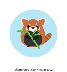 Cute baby red panda standing with bamboo in paw on blue circle background