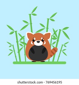 Cute baby red panda standing between the bamboo on blue background