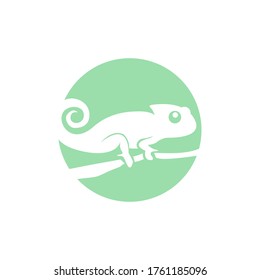 cute baby reptile chameleon as a pet vector illustration design
