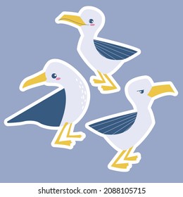 Cute baby seagull characters isolated on blue background with white outline. Emotional seabirds illustration, cheerful frowning and curious for children's designs and stickers.