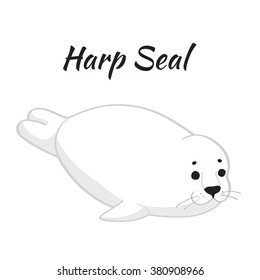 1000 Harp Seal Pictures Royalty Free Images Stock Photos And