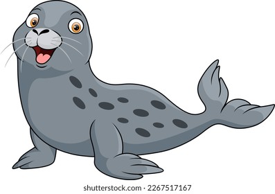 Cute baby seal on white background