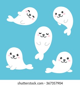 Cute baby seals set. Simple modern vector illustration in flat cartoon style.