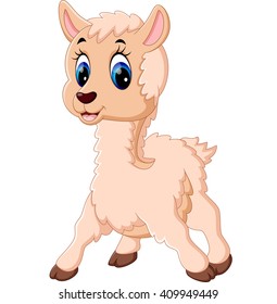 Cute baby sheep cartoon