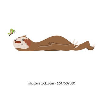 Cute baby sloth lies and looks at the butterfly