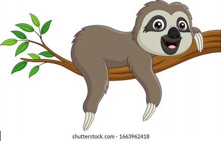Cute baby sloth on tree branch
