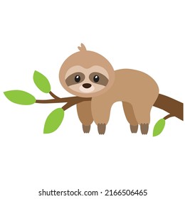 Cute baby sloth on the tree branch vector cartoon illustration