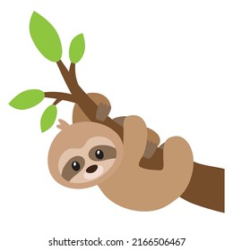 Cute baby sloth on the tree branch vector cartoon illustration
