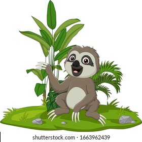 Cute baby sloth sitting on the grass