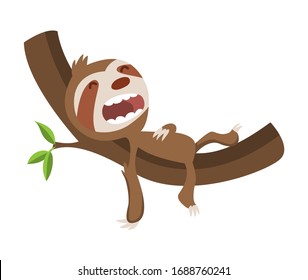 Cute baby sloth sleeping on branch. Vector funny