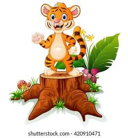 Cute baby tiger posing on tree stump