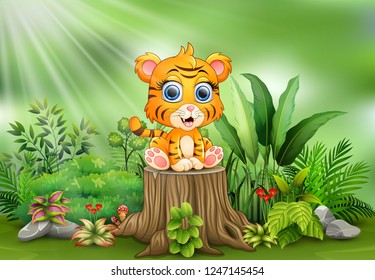 Cute baby tiger sitting on tree stump with green plants background