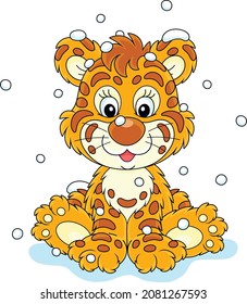 Cute baby tiger sitting on snow