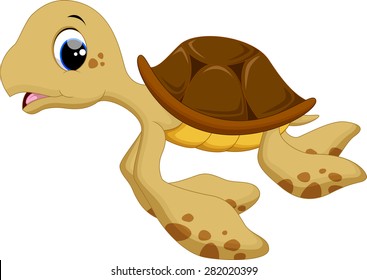 Cute baby turtles