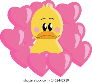 A cute baby yellow duck with rosy cheeks surrounded by pink colored hearts, vector, color drawing or illustration.