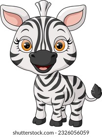 Cute baby zebra cartoon on white background