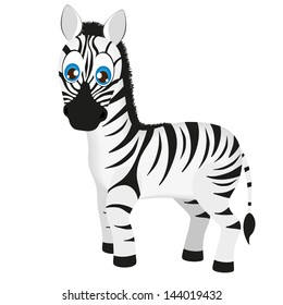 Cute baby zebra cartoon, vector illustration 