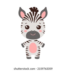 Cute baby zebra kawaii chibi style design vector illustration. Adorable zebra african plant-eating animal. Fun kids striped horse zebra image isolated on white background.