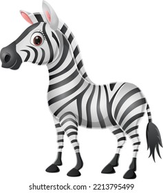 Cute Baby Zebra On White Background