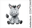 baby zebra watercolor