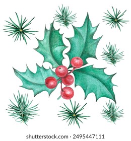 Cute background with Christmas holly,  fir branches for wallpaper, gift paper, patterns, textiles, greeting cards.
