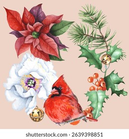 Cute background with Christmas holly, Poinsettia flower, piony fir branches for wallpaper, gift paper, patterns, textiles, greeting cards. Vector illustration in watercolor style.