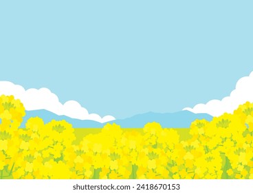 Cute background illustration of a canola field (a mustard field) in Spring.