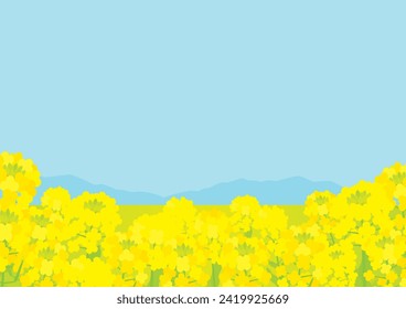 Cute background illustration of a canola field (a mustard field) in Spring.