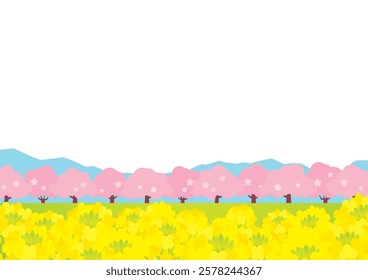 Cute background illustration of cherry blossom avenue and canola field (mustard field) in Spring.