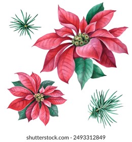 Cute background with Poinsettia flower, fir branches for wallpaper, gift paper, patterns, textiles, greeting cards.
