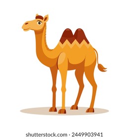 Cute Bactrian camel on a white background. Children's illustration of an animal. Vector